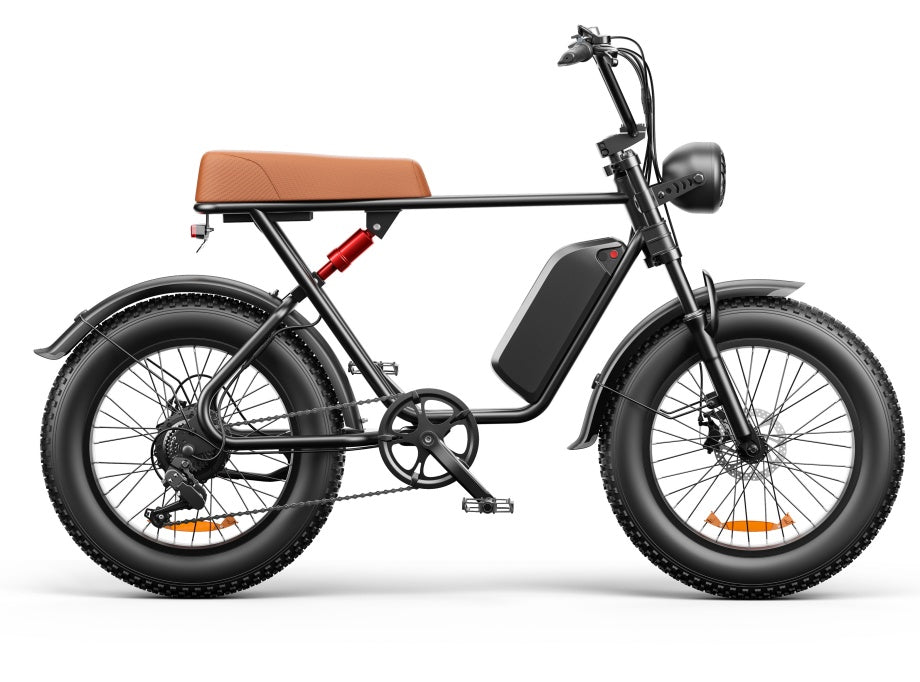 Electric Bike