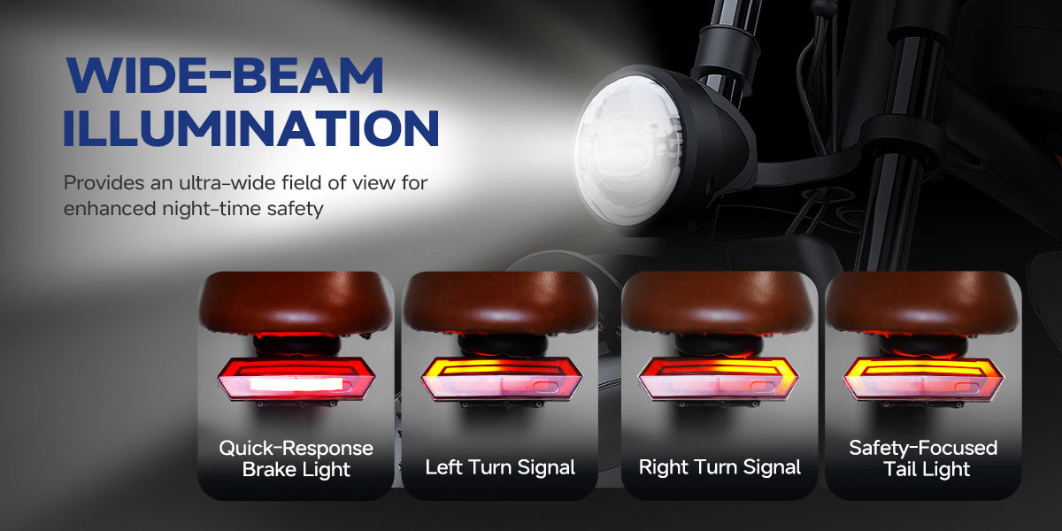 Fat Tire Electric Bike