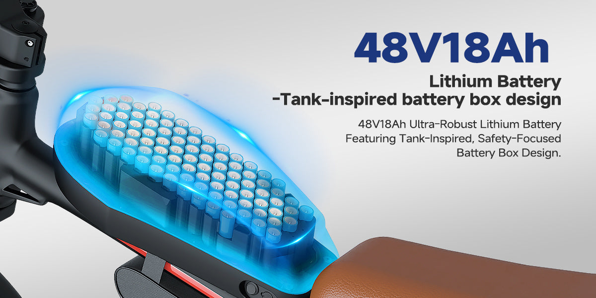 Fat Tire Electric Bike