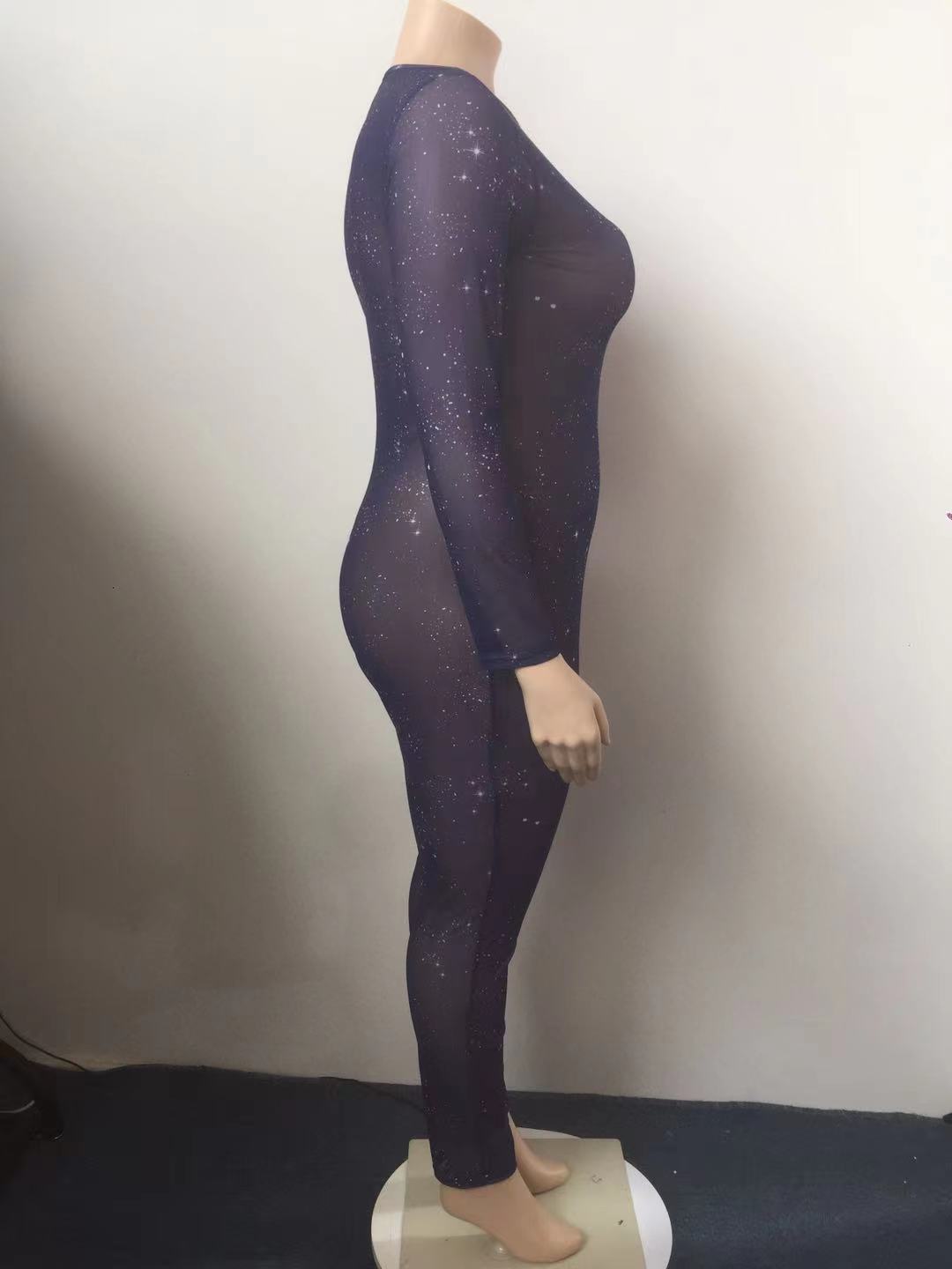 Hot Sale Sheer Temptation Printed Mesh Plus Size Jumpsuit