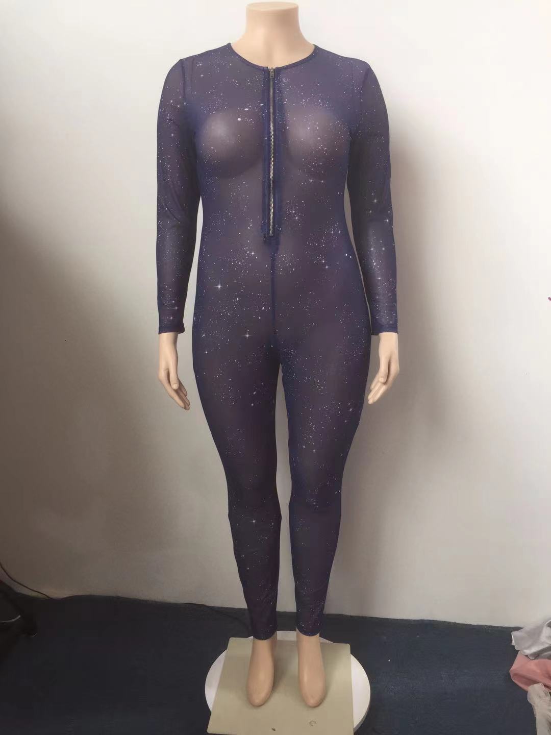 Hot Sale Sheer Temptation Printed Mesh Plus Size Jumpsuit