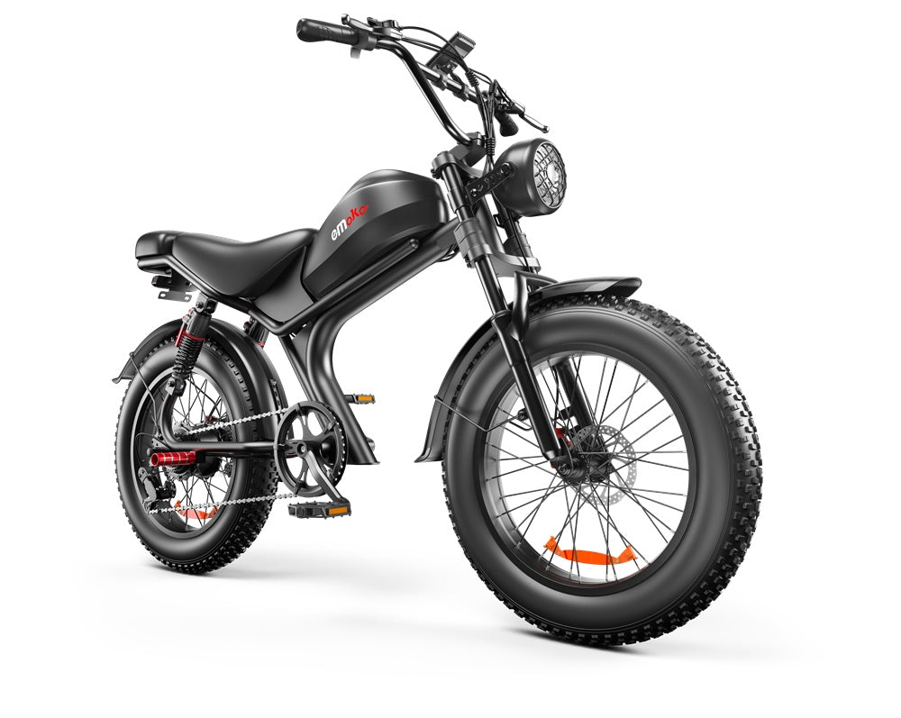Dual-drive High-speed Electric Bike