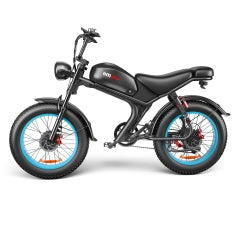 Dual-drive High-speed Electric Bike