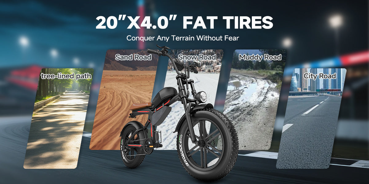 Fat Tire Electric Bike