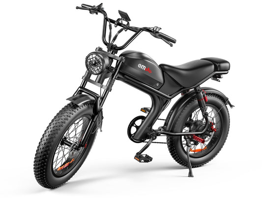 Electric Bike