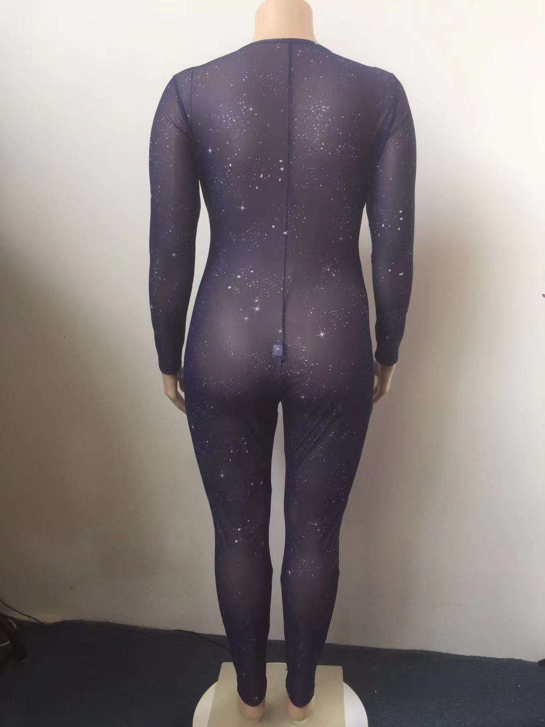 Hot Sale Sheer Temptation Printed Mesh Plus Size Jumpsuit