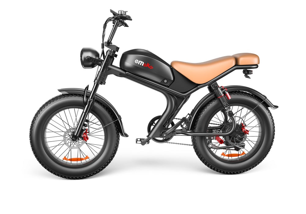 Electric Bike