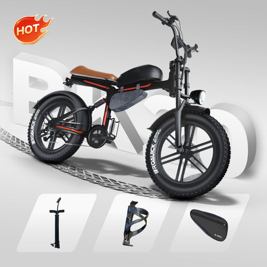 Fat Tire Electric Bike
